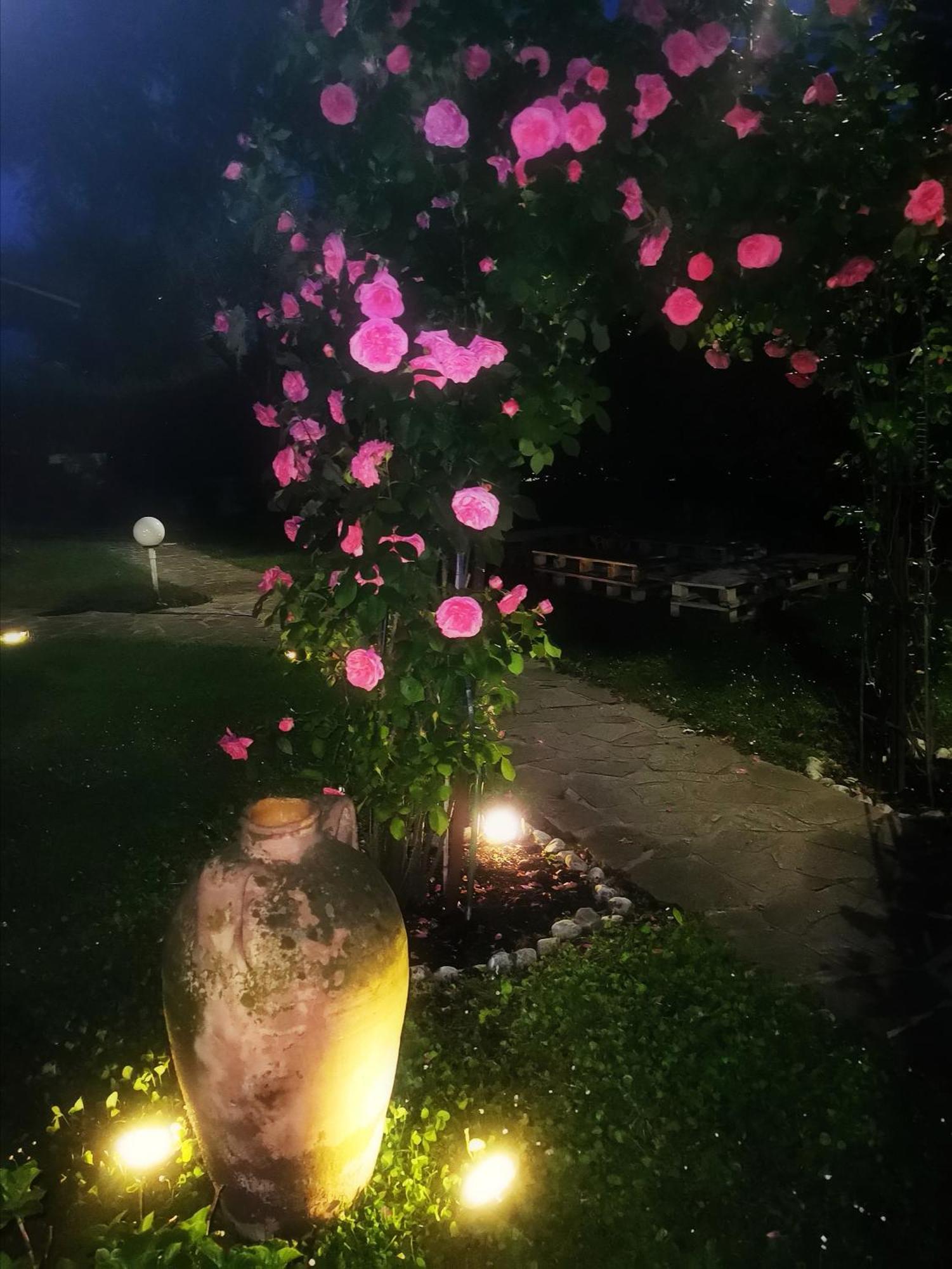 Acquachiara Iseo Deluxe Bed & Breakfast Iseo Center With Garden And Parking Inside Foresteria Room photo